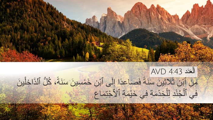 اَلْعَدَد 4:43 AVD Desktop Wallpaper - مِنِ ٱبْنِ ثَلَاثِينَ - Desktop Bible Verse Wallpaper