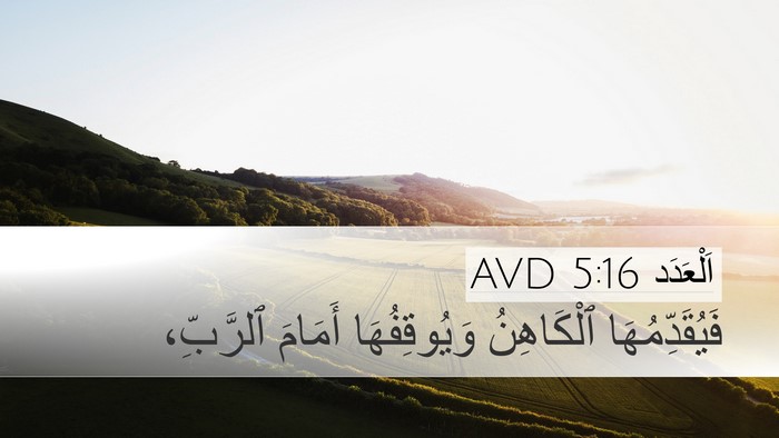 اَلْعَدَد 5:16 AVD Desktop Wallpaper - فَيُقَدِّمُهَا ٱلْكَاهِنُ - Desktop Bible Verse Wallpaper