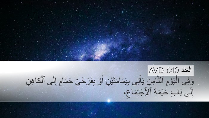 اَلْعَدَد 6:10 AVD Bible Verse Image
