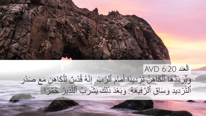 اَلْعَدَد 6:20 AVD Bible Verse Image