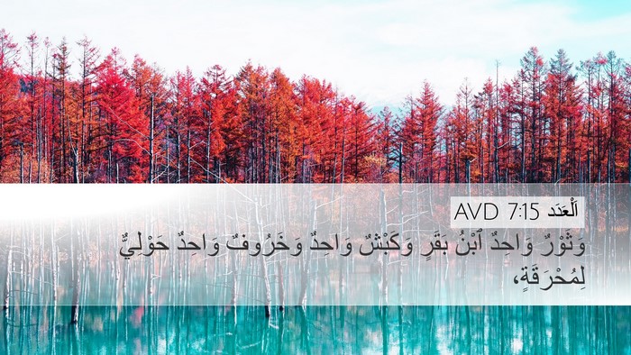 اَلْعَدَد 7:15 AVD Desktop Wallpaper - وَثَوْرٌ وَاحِدٌ ٱبْنُ - Desktop Bible Verse Wallpaper