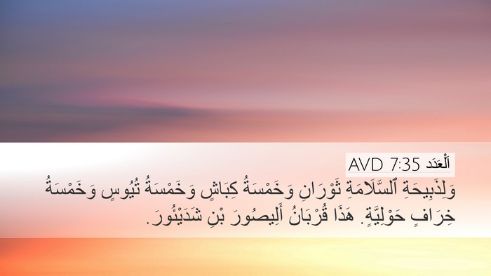 اَلْعَدَد 7:35 AVD Bible Verse Image