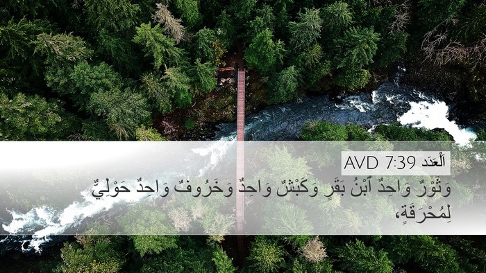 اَلْعَدَد 7:39 AVD Desktop Wallpaper - وَثَوْرٌ وَاحِدٌ ٱبْنُ - Desktop Bible Verse Wallpaper