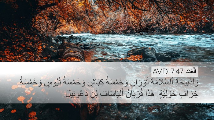 اَلْعَدَد 7:47 AVD Bible Verse Image