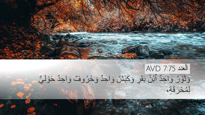 اَلْعَدَد 7:75 AVD Desktop Wallpaper - وَثَوْرٌ وَاحِدٌ ٱبْنُ - Desktop Bible Verse Wallpaper