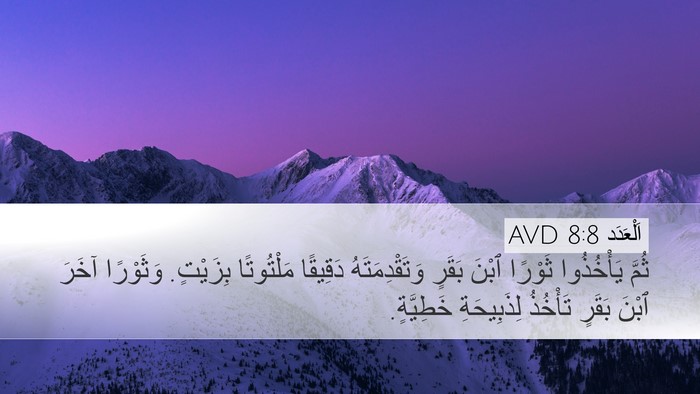 اَلْعَدَد 8:8 AVD Bible Verse Image