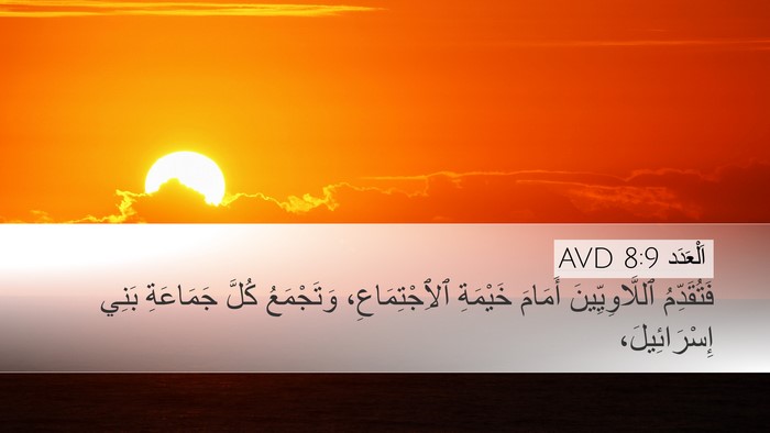اَلْعَدَد 8:9 AVD Bible Verse Image