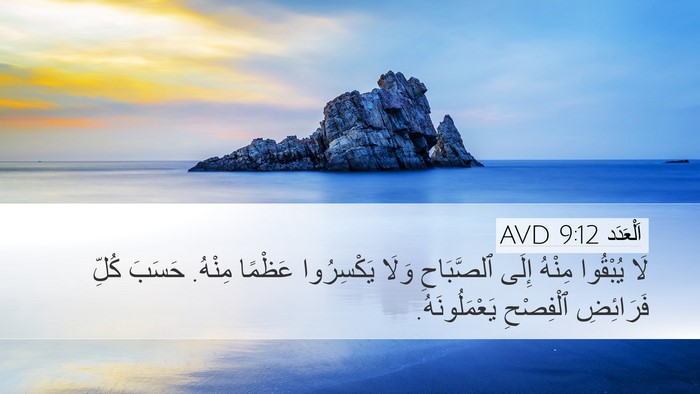 اَلْعَدَد 9:12 AVD Bible Verse Image
