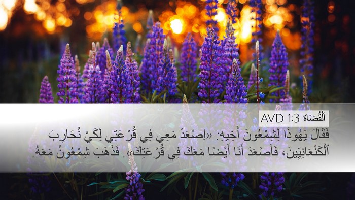 اَلْقُضَاة 1:3 AVD Desktop Wallpaper - فَقَالَ يَهُوذَا - Desktop Bible Verse Wallpaper