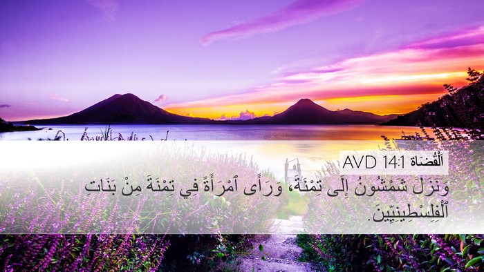 اَلْقُضَاة 14:1 AVD Bible Verse Image