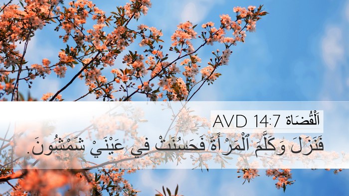 اَلْقُضَاة 14:7 AVD Desktop Wallpaper - فَنَزَلَ وَكَلَّمَ - Desktop Bible Verse Wallpaper
