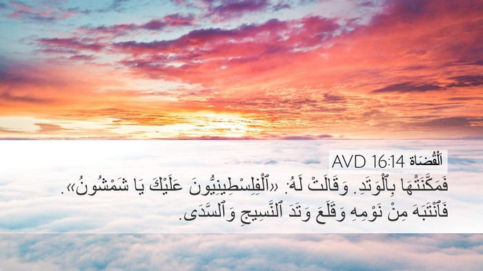 اَلْقُضَاة 16:14 AVD Bible Verse Image