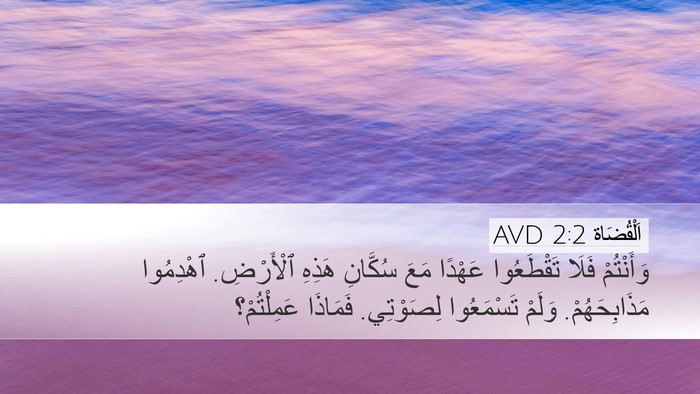 اَلْقُضَاة 2:2 AVD Bible Verse Image
