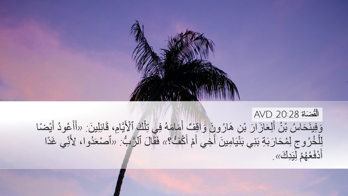 اَلْقُضَاة 20:28 AVD Bible Verse Image