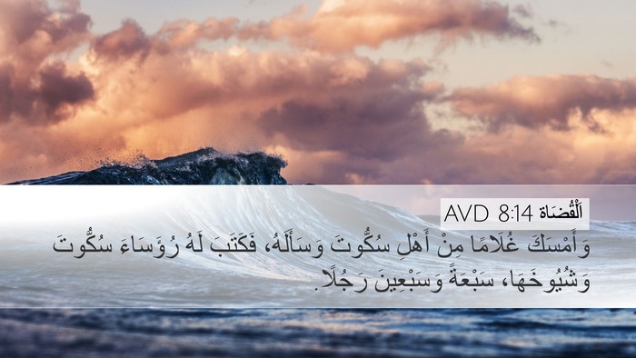اَلْقُضَاة 8:14 AVD Desktop Wallpaper - وَأَمْسَكَ غُلَامًا مِنْ - Desktop Bible Verse Wallpaper