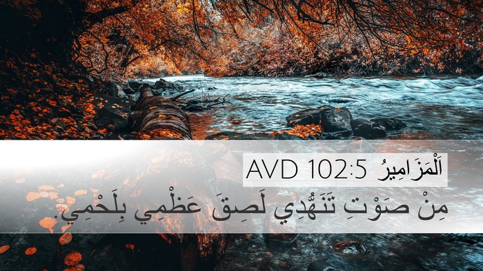 اَلْمَزَامِيرُ 102:5 AVD Bible Verse Image