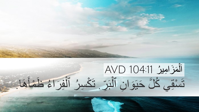 اَلْمَزَامِيرُ 104:11 AVD Bible Verse Image