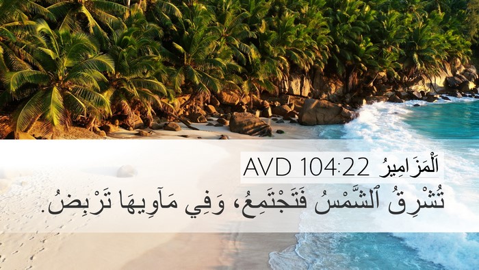 اَلْمَزَامِيرُ 104:22 AVD Desktop Wallpaper - تُشْرِقُ ٱلشَّمْسُ - Desktop Bible Verse Wallpaper