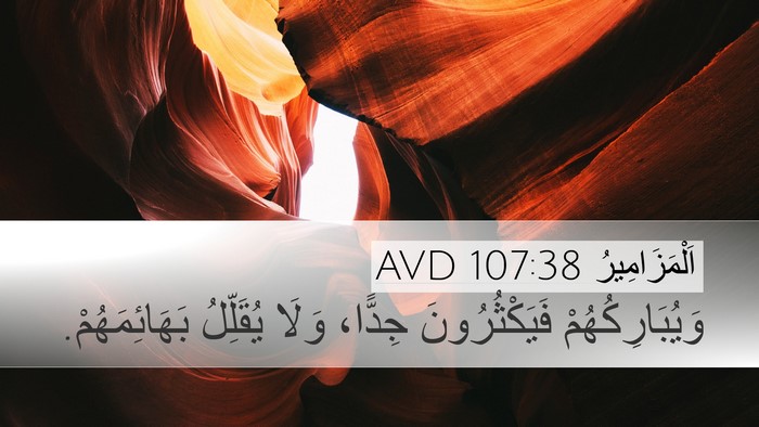 اَلْمَزَامِيرُ 107:38 AVD Desktop Wallpaper - وَيُبَارِكُهُمْ - Desktop Bible Verse Wallpaper