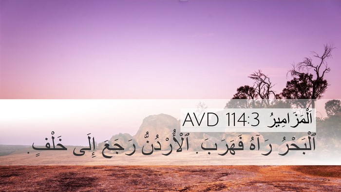 اَلْمَزَامِيرُ 114:3 AVD Desktop Wallpaper - ٱلْبَحْرُ رَآهُ فَهَرَبَ. - Desktop Bible Verse Wallpaper