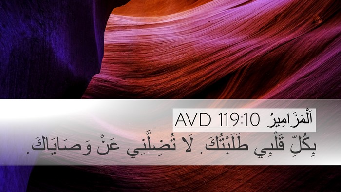 اَلْمَزَامِيرُ 119:10 AVD Bible Verse Image