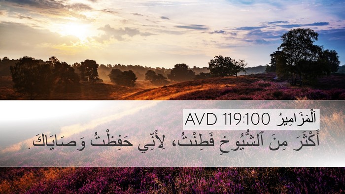 اَلْمَزَامِيرُ 119:100 AVD Bible Verse Image