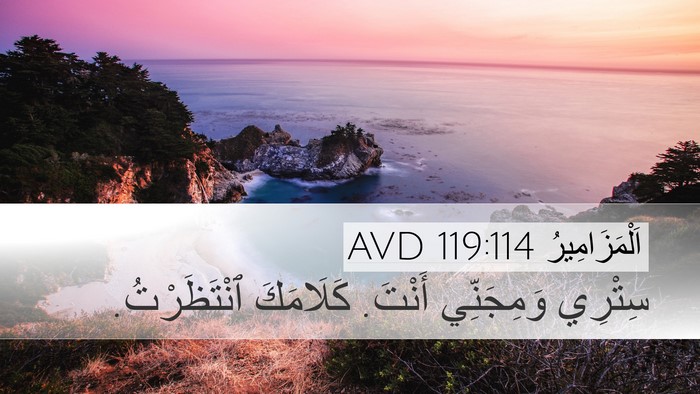 اَلْمَزَامِيرُ 119:114 AVD Bible Verse Image