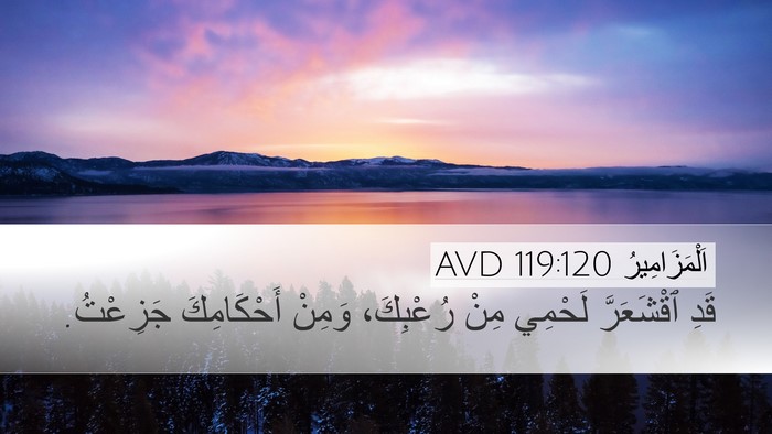 اَلْمَزَامِيرُ 119:120 AVD Bible Verse Image