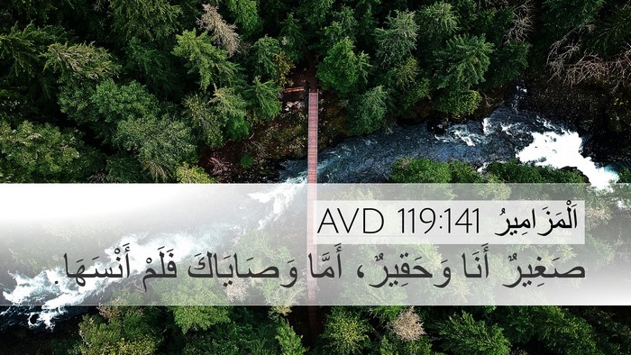 اَلْمَزَامِيرُ 119:141 AVD Bible Verse Image