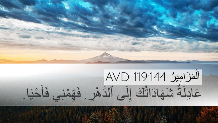اَلْمَزَامِيرُ 119:144 AVD Bible Verse Image