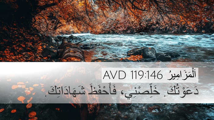 اَلْمَزَامِيرُ 119:146 AVD Desktop Wallpaper - دَعَوْتُكَ. خَلِّصْنِي، - Desktop Bible Verse Wallpaper