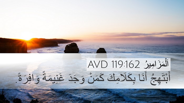 اَلْمَزَامِيرُ 119:162 AVD Bible Verse Image