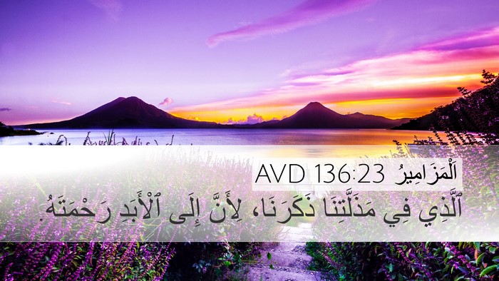 اَلْمَزَامِيرُ 136:23 AVD Bible Verse Image