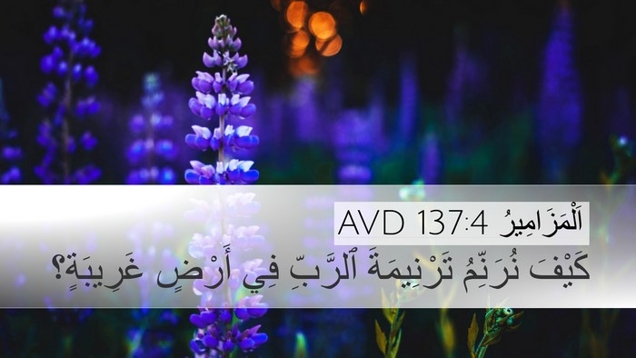 اَلْمَزَامِيرُ 137:4 AVD Bible Verse Image