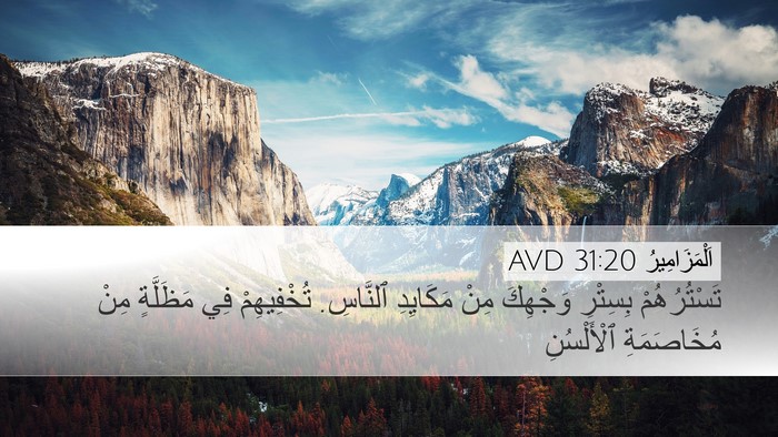 اَلْمَزَامِيرُ 31:20 AVD Bible Verse Image