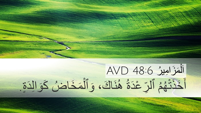 اَلْمَزَامِيرُ 48:6 AVD Bible Verse Image