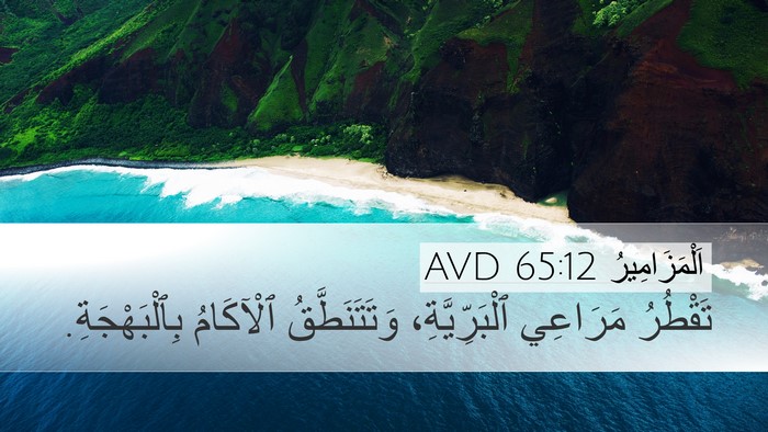 اَلْمَزَامِيرُ 65:12 AVD Bible Verse Image