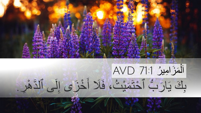 اَلْمَزَامِيرُ 71:1 AVD Bible Verse Image