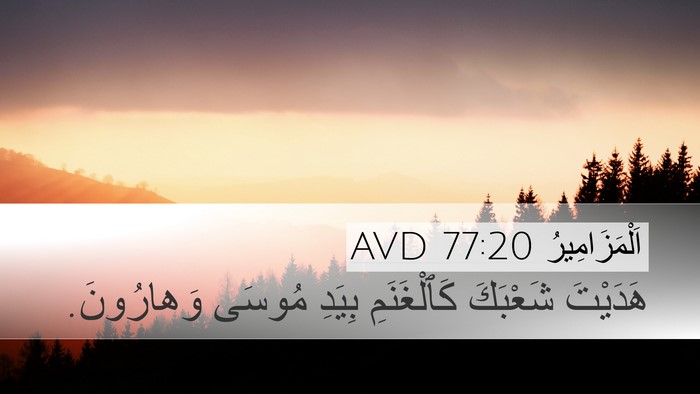 اَلْمَزَامِيرُ 77:20 AVD Bible Verse Image