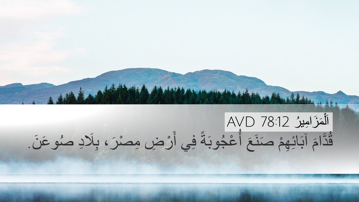 اَلْمَزَامِيرُ 78:12 AVD Bible Verse Image