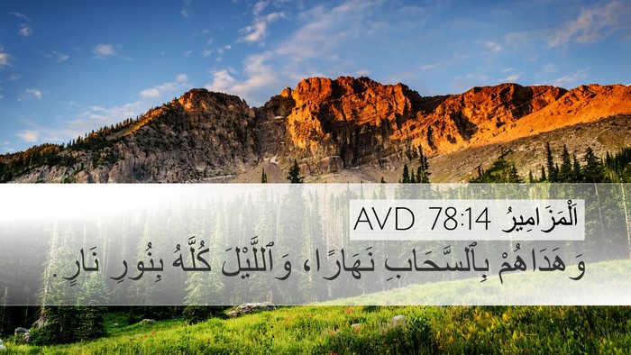 اَلْمَزَامِيرُ 78:14 AVD Bible Verse Image