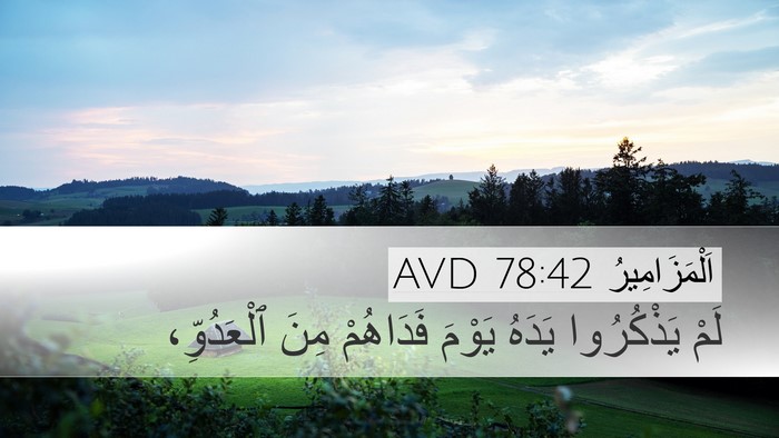 اَلْمَزَامِيرُ 78:42 AVD Bible Verse Image