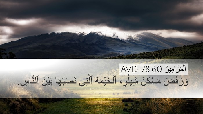 اَلْمَزَامِيرُ 78:60 AVD Bible Verse Image