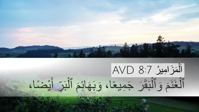 اَلْمَزَامِيرُ 8:7 AVD Desktop Wallpaper - ٱلْغَنَمَ وَٱلْبَقَرَ - Desktop Bible Verse Wallpaper