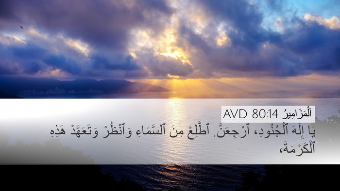 اَلْمَزَامِيرُ 80:14 AVD Desktop Wallpaper - يَا إِلَهَ ٱلْجُنُودِ، - Desktop Bible Verse Wallpaper