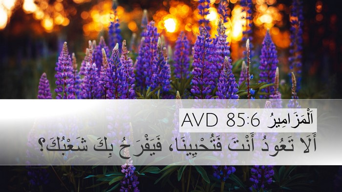 اَلْمَزَامِيرُ 85:6 AVD Bible Verse Image