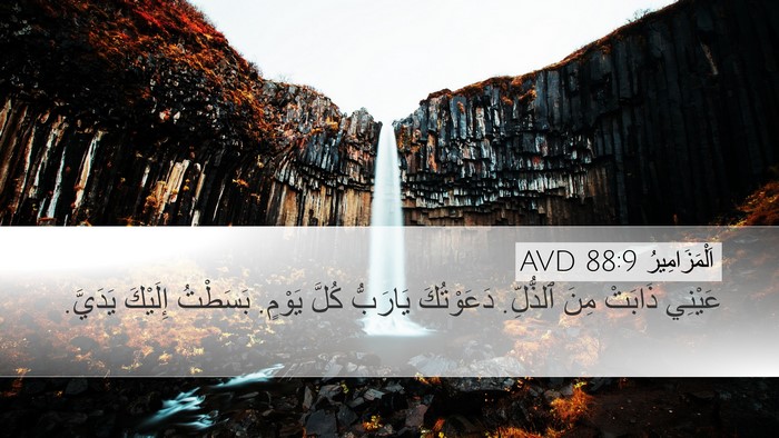 اَلْمَزَامِيرُ 88:9 AVD Bible Verse Image