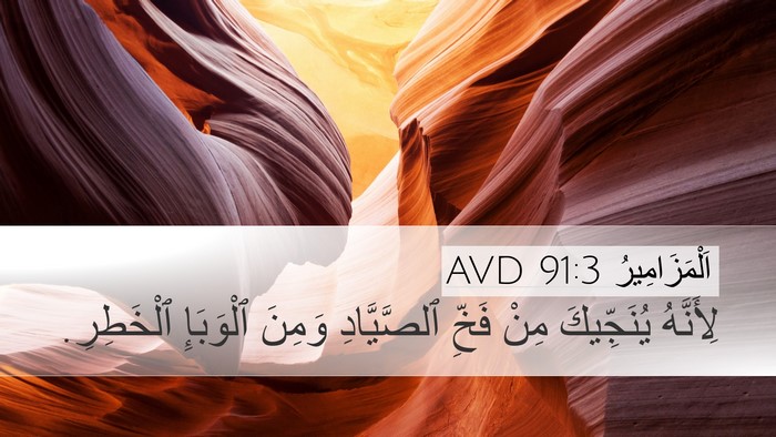 اَلْمَزَامِيرُ 91:3 AVD Bible Verse Image