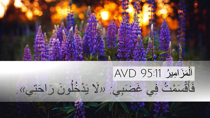 اَلْمَزَامِيرُ 95:11 AVD Bible Verse Image