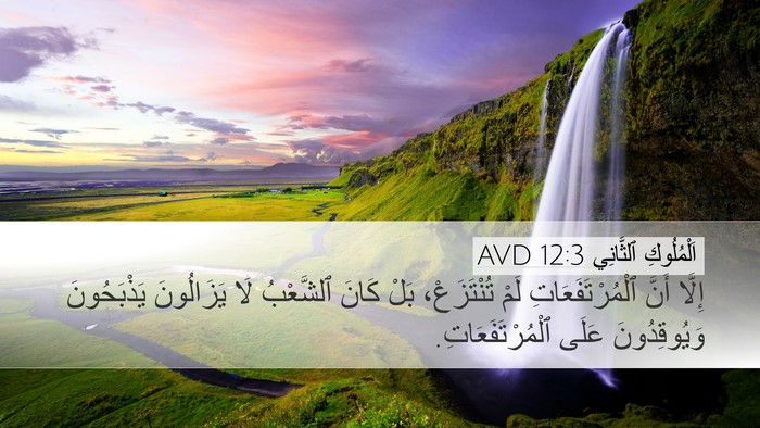 اَلْمُلُوكِ ٱلثَّانِي 12:3 AVD Bible Verse Image